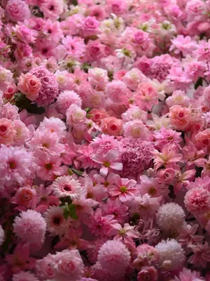flower wall scene used as a replacement background